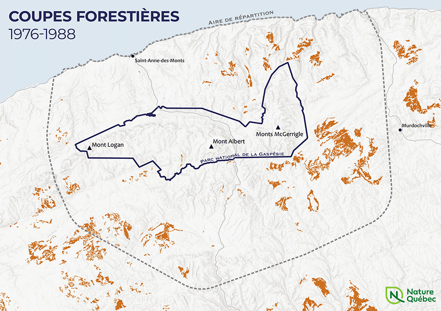 Schéma des coupes forestières sur le territoire du caribou de la Gaspésie 1976-2018