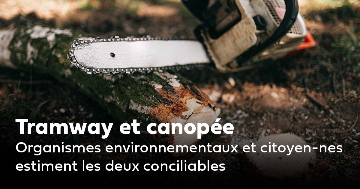 Communiqué - Tramway et canopée : Organismes environnementaux et citoyen·nes estiment les deux conciliables