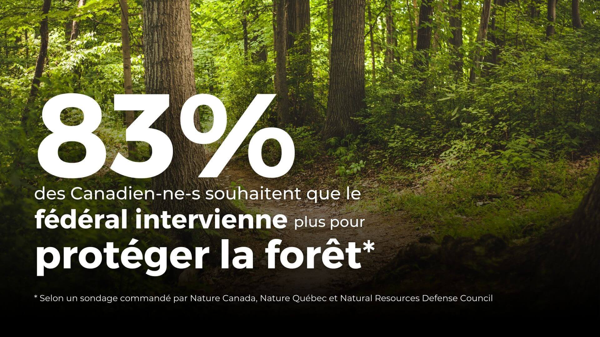 Les Canadiens souhaitent des mesures de protection des forêts selon un nouveau sondage EKOS