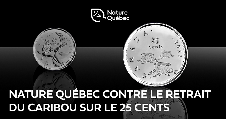 Communiqué - Nature Québec contre le retrait du caribou sur les pièces de 25 cents
