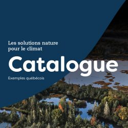 WEB-mockup_cataloguesolutionsnature_20220426