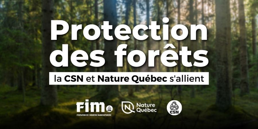 Alliance historique entre la CSN et Nature Québec pour protéger les forêts