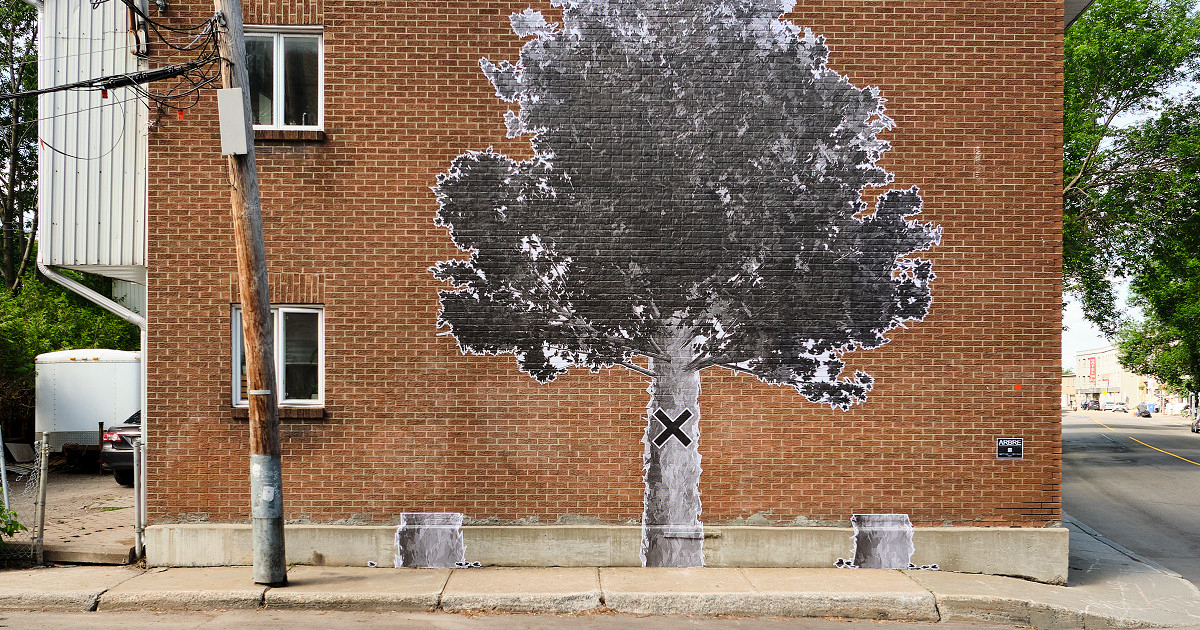 Forêt urbaine, ville sereine : nouveau collage de Wartin Pantois dans Saint-Sauveur