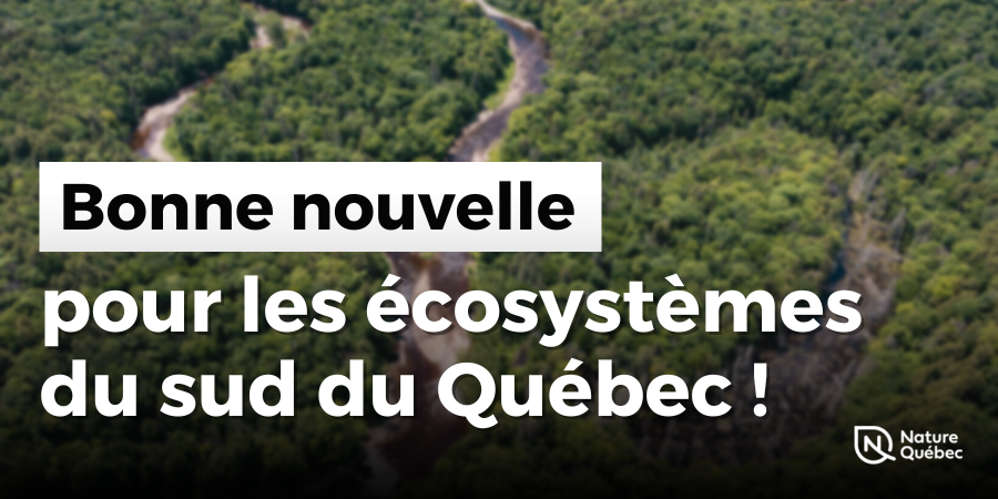 Le réseau d’aires protégées s’agrandit, une bonne nouvelle pour les écosystèmes du sud du Québec