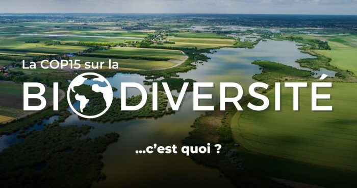 La COP15 Sur La Biodiversité, C’est Quoi? - Nature Québec : Nature Québec