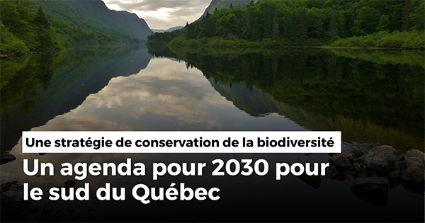 Une stratégie de conservation de la biodiversité : un agenda pour 2030 pour le sud du Québec