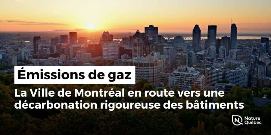 La Ville de Montréal en route vers une décarbonation rigoureuse des bâtiments