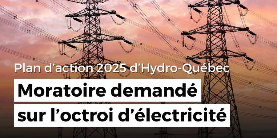 Plan d'action 2035 d'Hydro-Québec : moratoire demandé sur l'octroi d'électricité pour le développement industriel