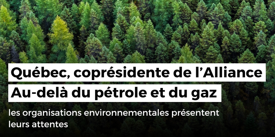 Alors que le Québec assume la coprésidence de l’Alliance Au-delà du pétrole et du gaz, les organisations environnementales présentent leurs attentes pour ce nouveau rôle