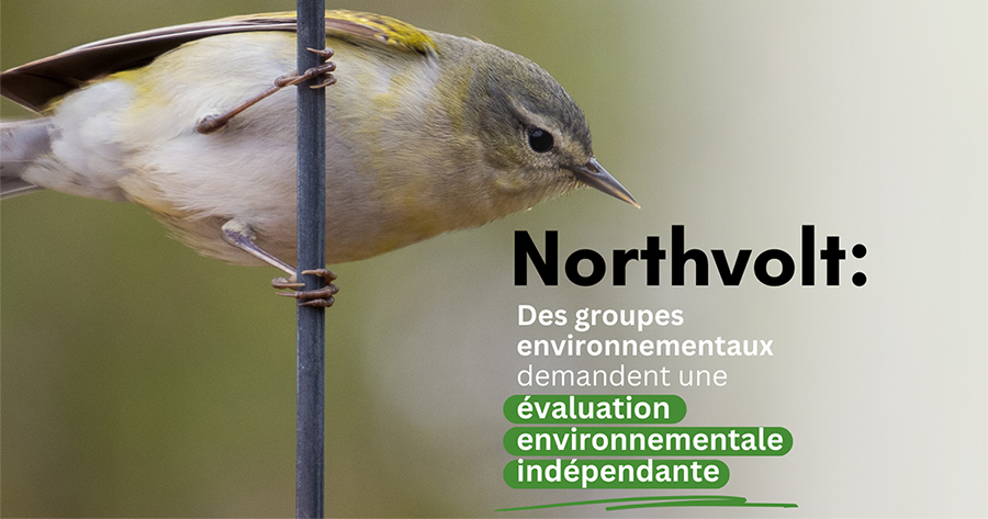 Northvolt : des groupes environnementaux demandent une évaluation environnementale indépendante
