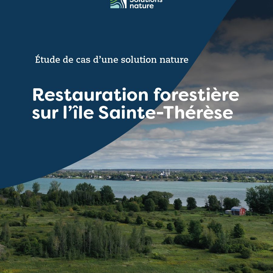 EMSN-etude-de-cas-IST-20231218-couv EMSN-etude-de-cas-IST-20231218-couv