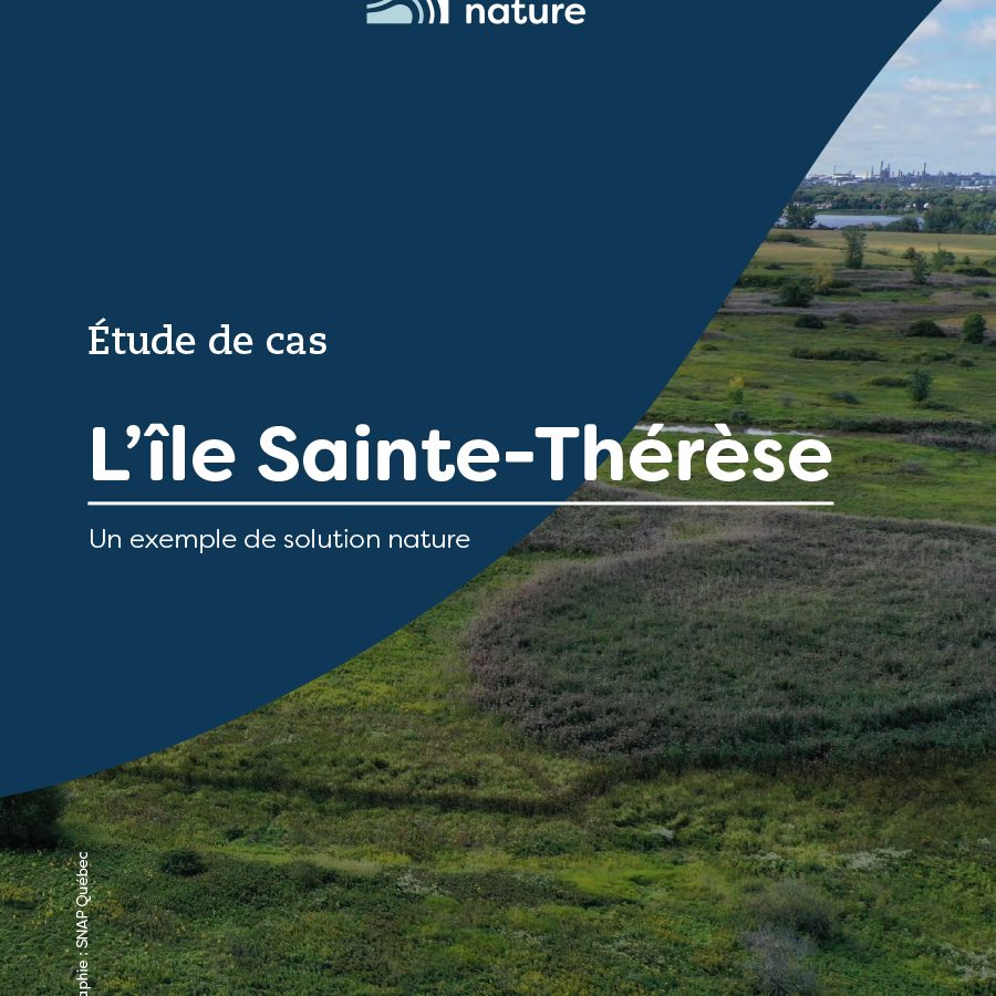 ph-EMSN-fiche-IST-20230821-couv ph-EMSN-fiche-IST-20230821-couv