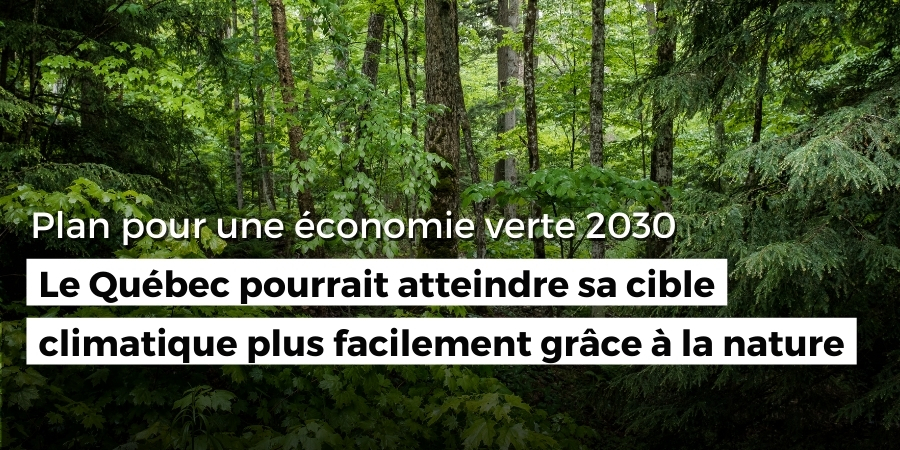 PEV 2030 : Le gouvernement pourrait atteindre sa cible climatique plus facilement grâce à la nature, dit Nature Québec