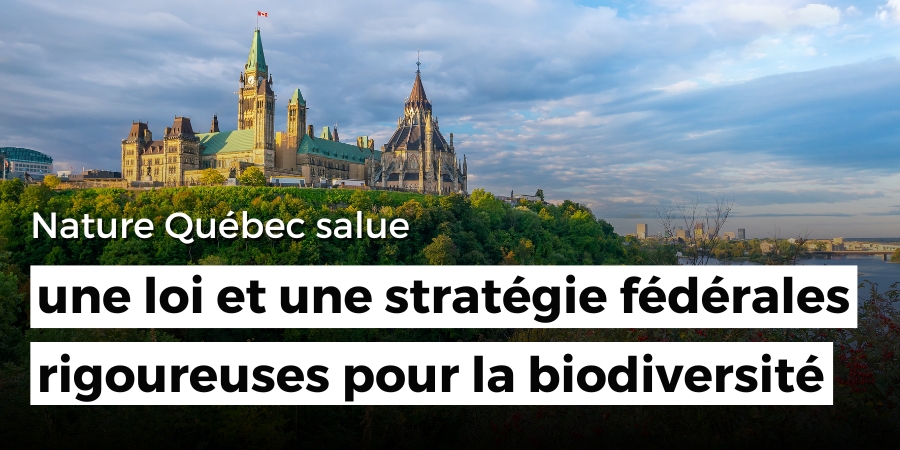 Nature Québec salue une loi et une stratégie fédérales rigoureuses pour la biodiversité