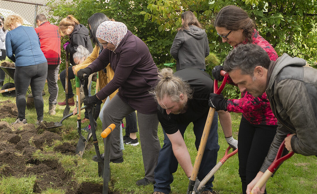 Bientôt plus d’arbres à Trois-Rivières et Thetford Mines