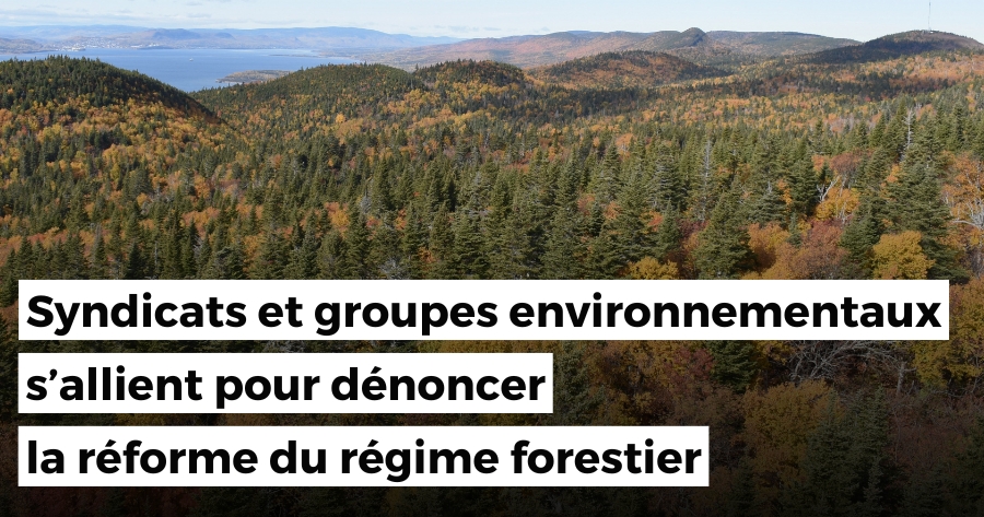 Syndicats et groupes environnementaux s’allient pour dénoncer la réforme du régime forestier