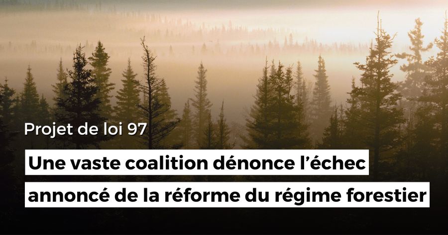 Une vaste coalition dénonce l’échec annoncé de la réforme du régime forestier
