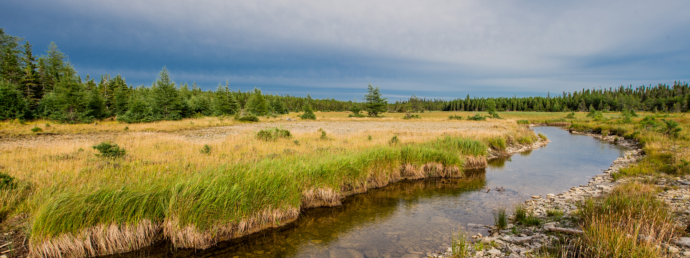 Île d'Anticosti, photographie : Benoît Desjardins, 2026.