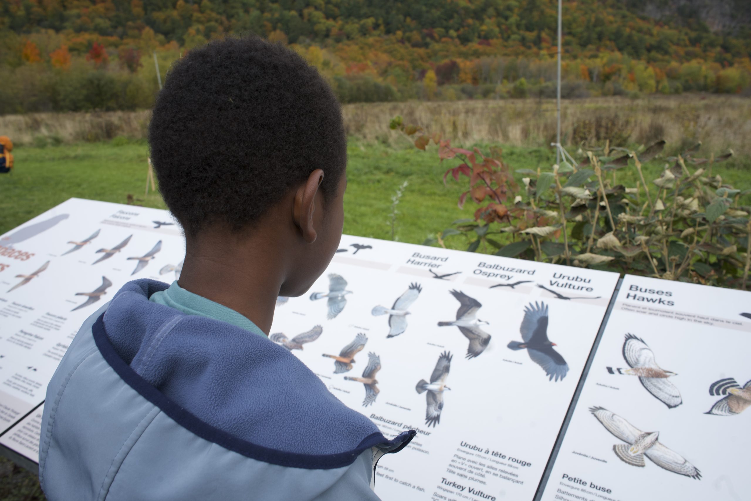 PH_ACTIVITE_COMMUNATURE_CAP_TOURMENTE_202410_11