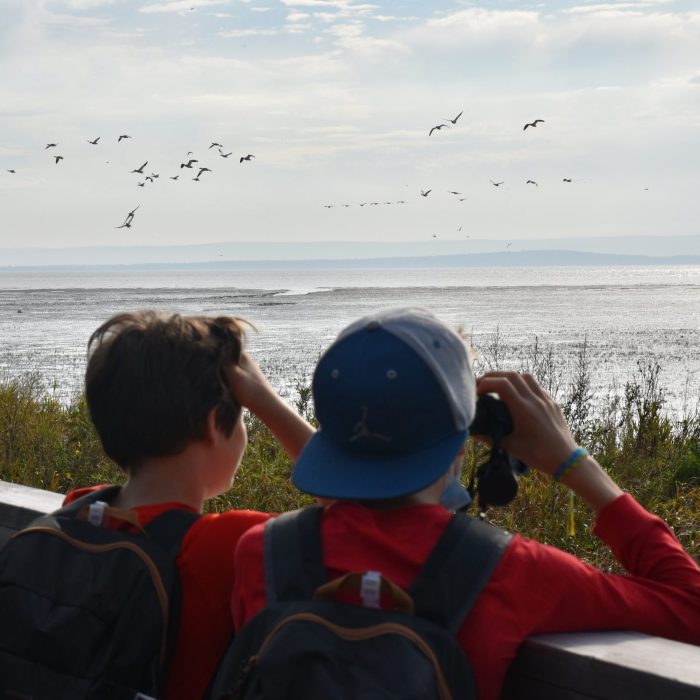 Deux adolescents observent les oiseaux migrateurs à la Réserve nationale de faune du Cap-Tourmente.