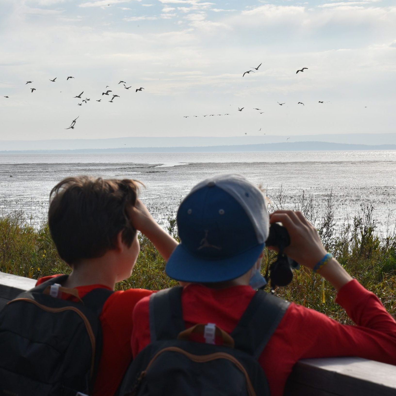 PH_CommuNature_20211013_6 Deux adolescents observent les oiseaux migrateurs à la Réserve nationale de faune du Cap-Tourmente.