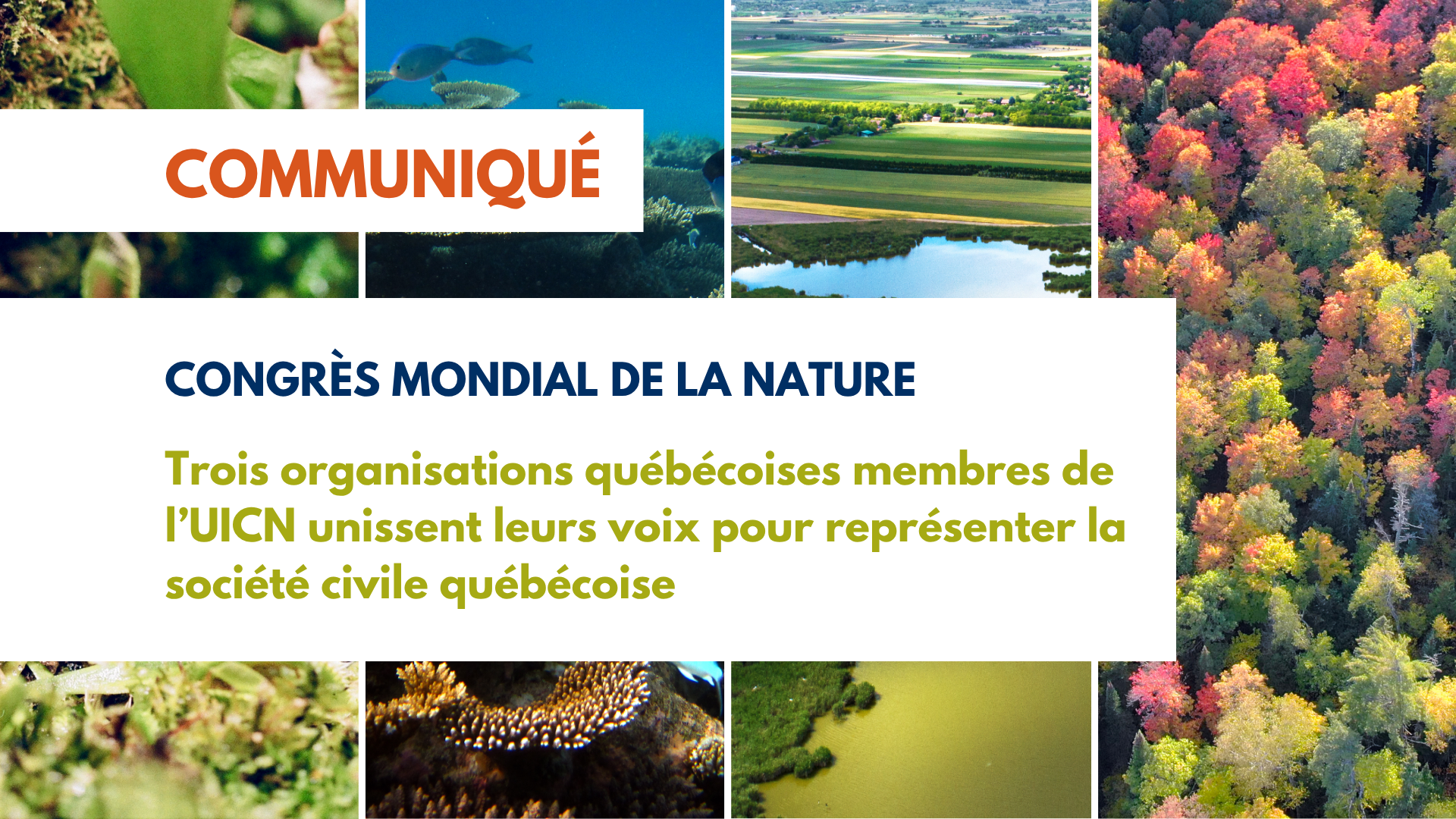 Trois organisations québécoises unissent leurs voix au congrès l'UICN pour représenter la société civile québécoise