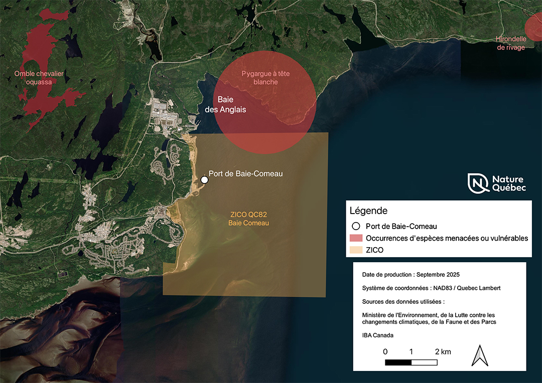 Limites de la ZICO QC082 et occurrences d’espèces menacées ou vulnérables selon le Centre de données sur le patrimoine naturel du Québec (CDPNQ).