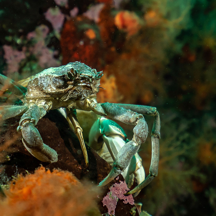 Photographie : Patrick Bourgeois