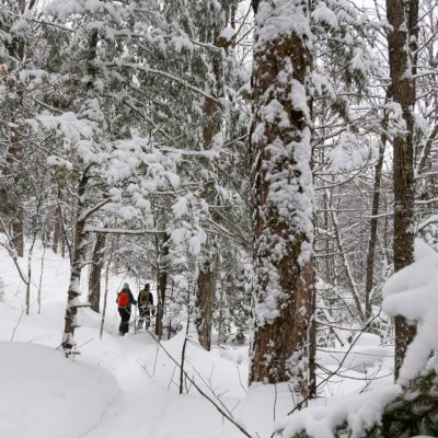 Deux personnes font de la raquette dans un sous-bois au Québec, en hiver.