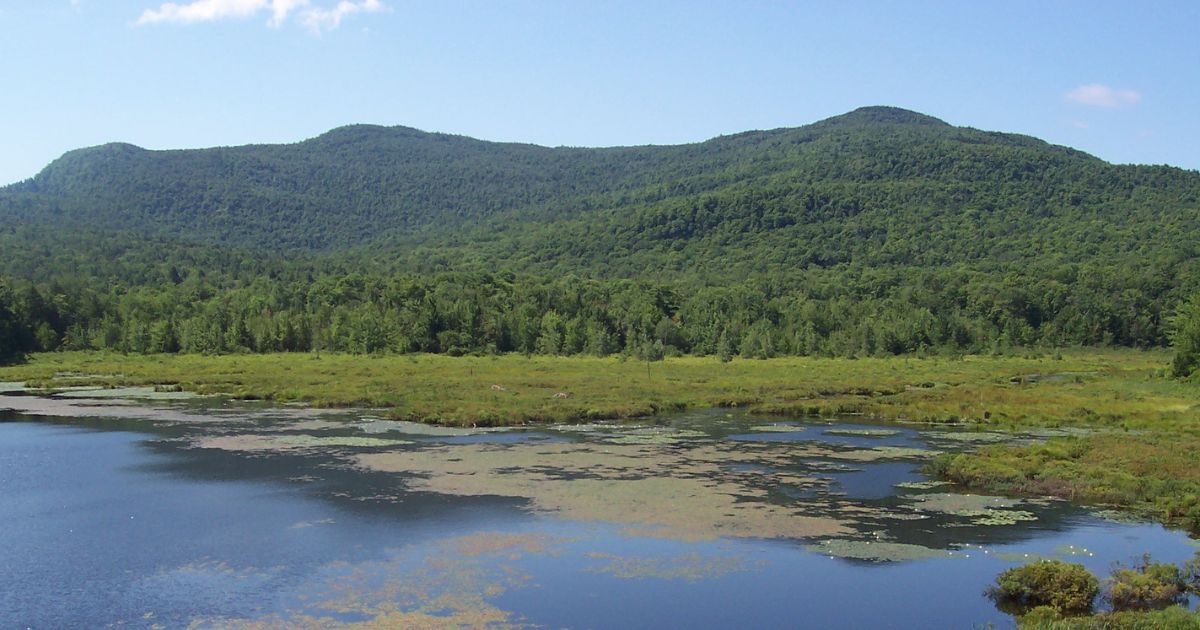 WEB_entete_Parc-du-Mont-Orford_EtangFer-de-lance_creditBoreal_20250126