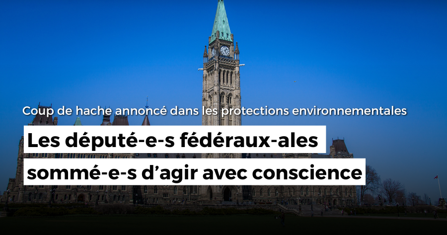 Coup de hache annoncé dans les protections environnementales : les député-e-s fédéraux-ales sommé-e-s d’agir avec conscience