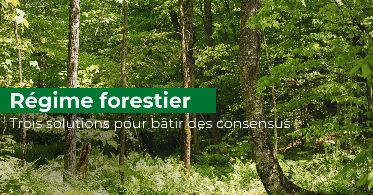 Réforme du régime forestier : des partenaires incontournables de la forêt offrent au nouveau gouvernement québécois des solutions pour bâtir des consensus